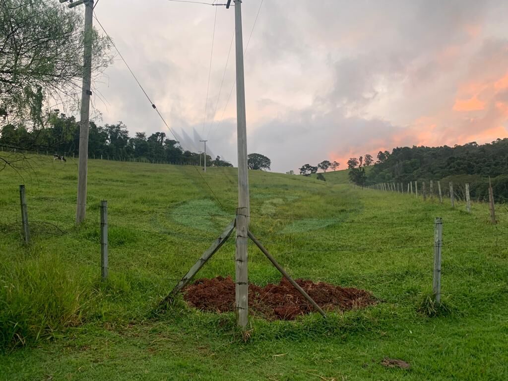 Sítio, 3 quartos, 16 hectares - Foto 12