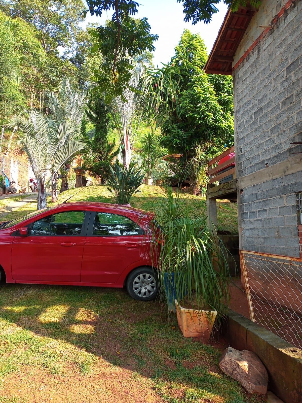 Chácara, 2 quartos, 1065 m² - Foto 3