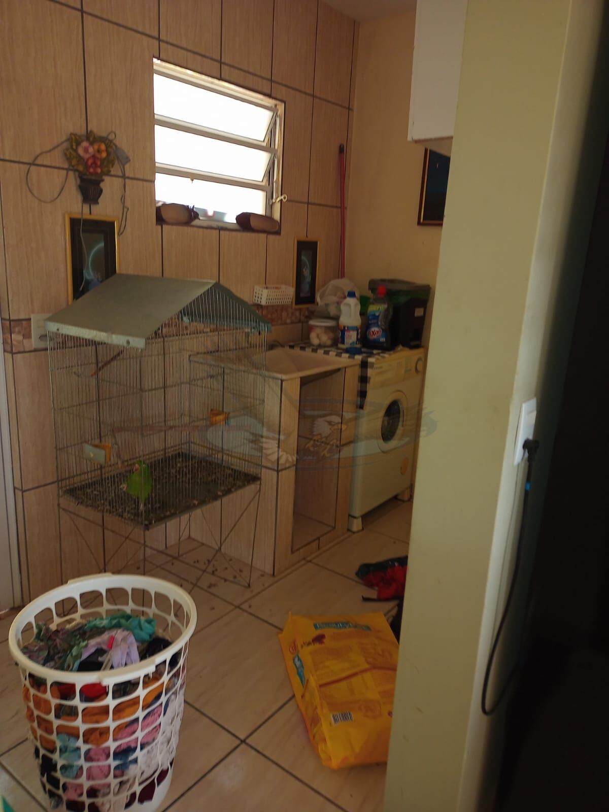 Chácara, 2 quartos, 1065 m² - Foto 7