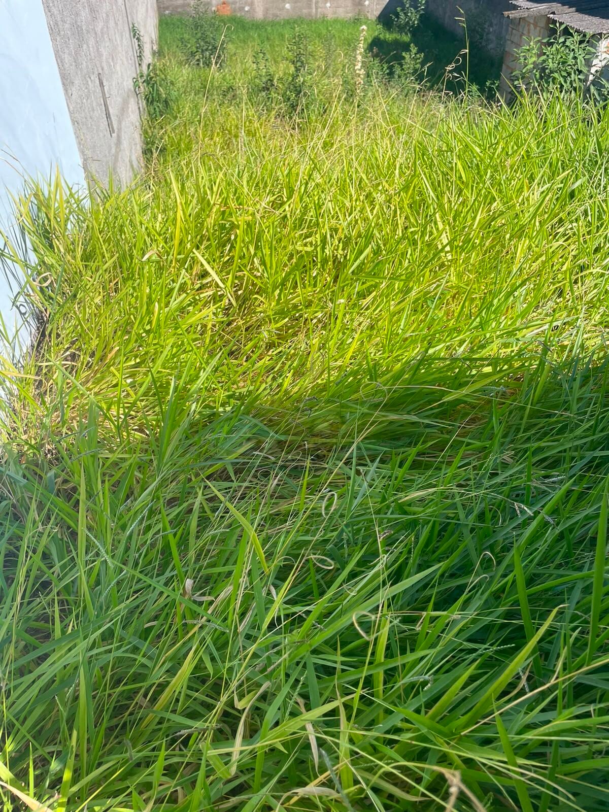 Terreno, 250 m² - Foto 2