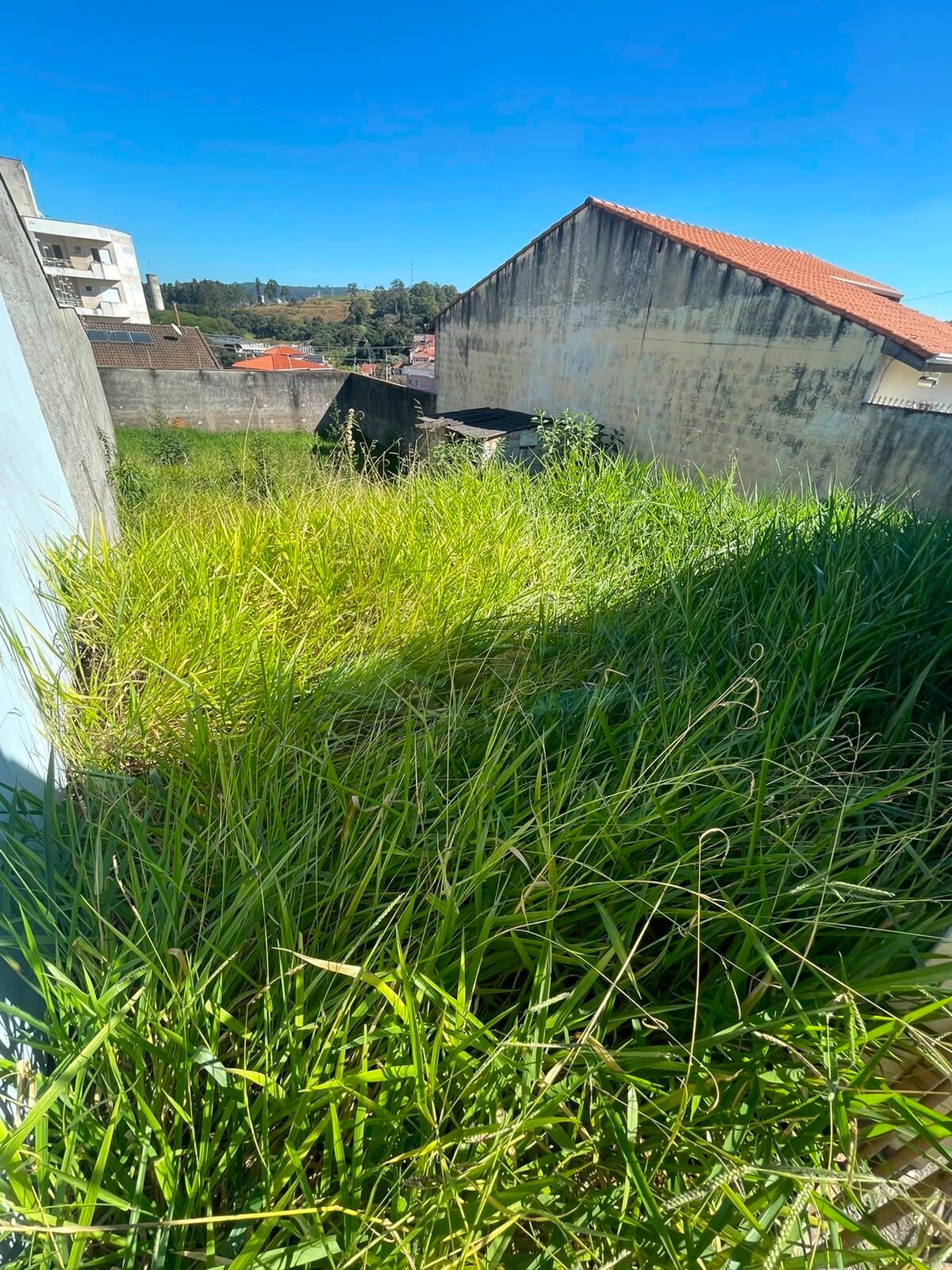 Terreno, 250 m² - Foto 1