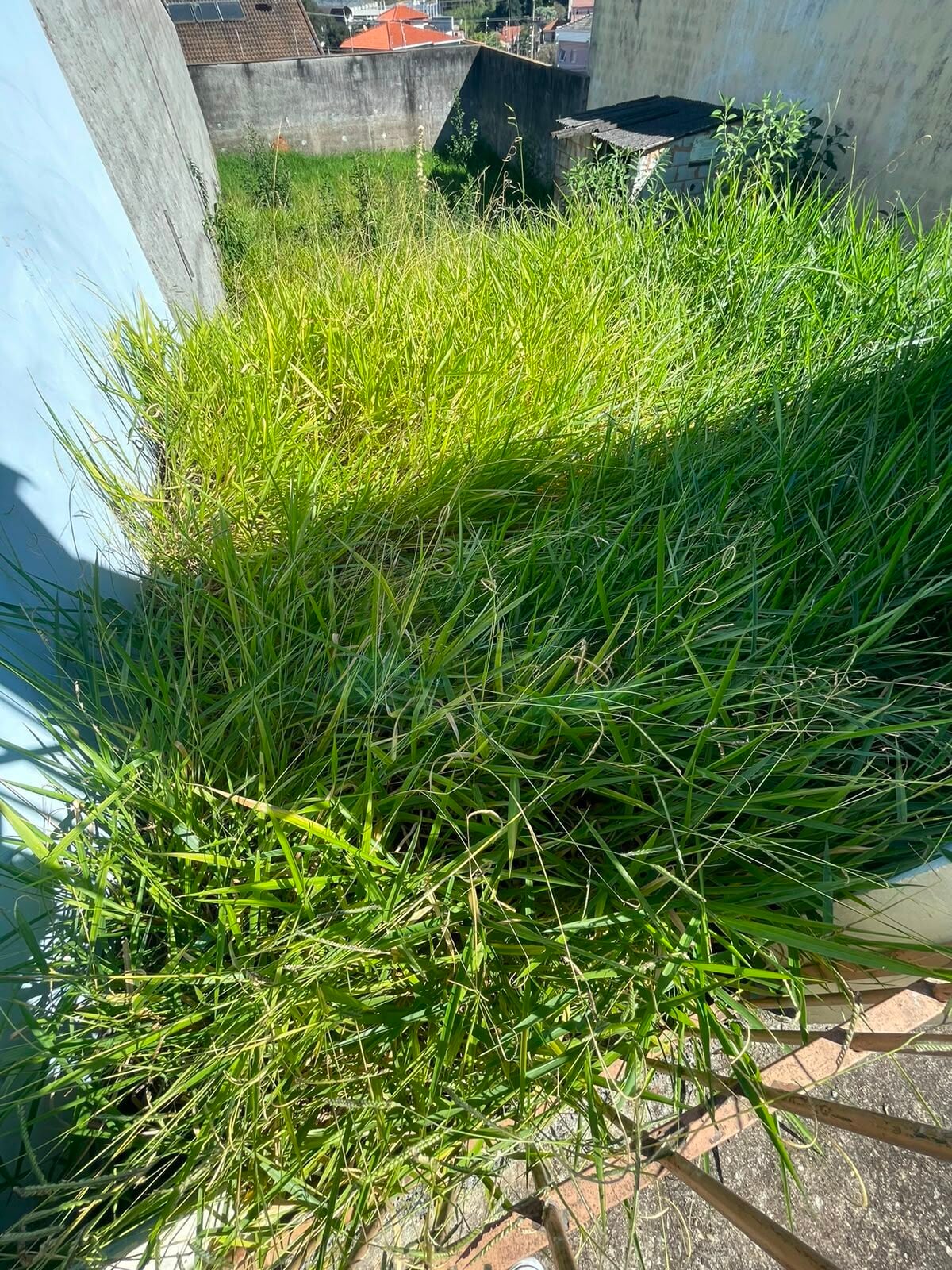 Terreno, 250 m² - Foto 3