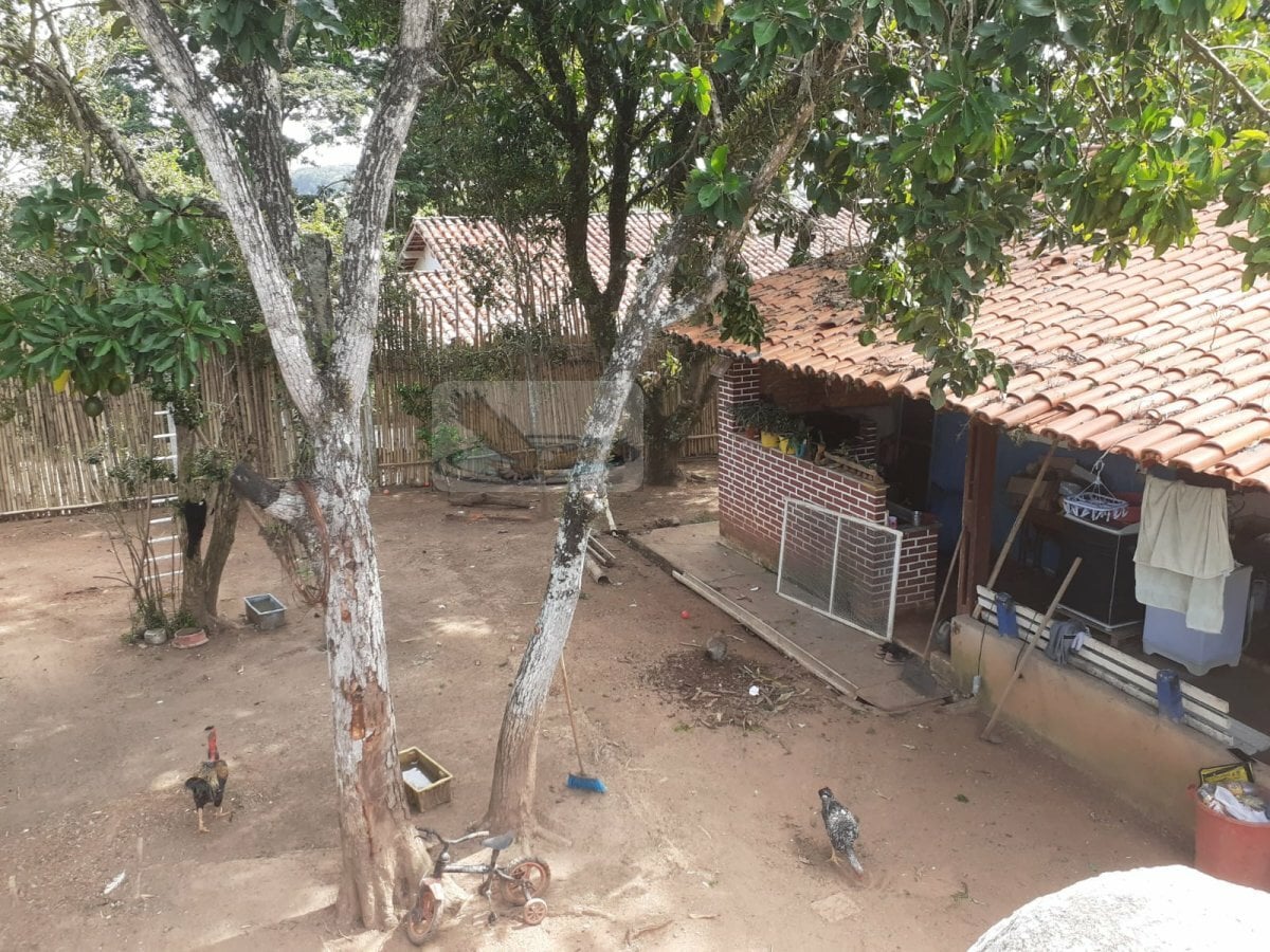 Chácara, 3 quartos, 1000 m² - Foto 5