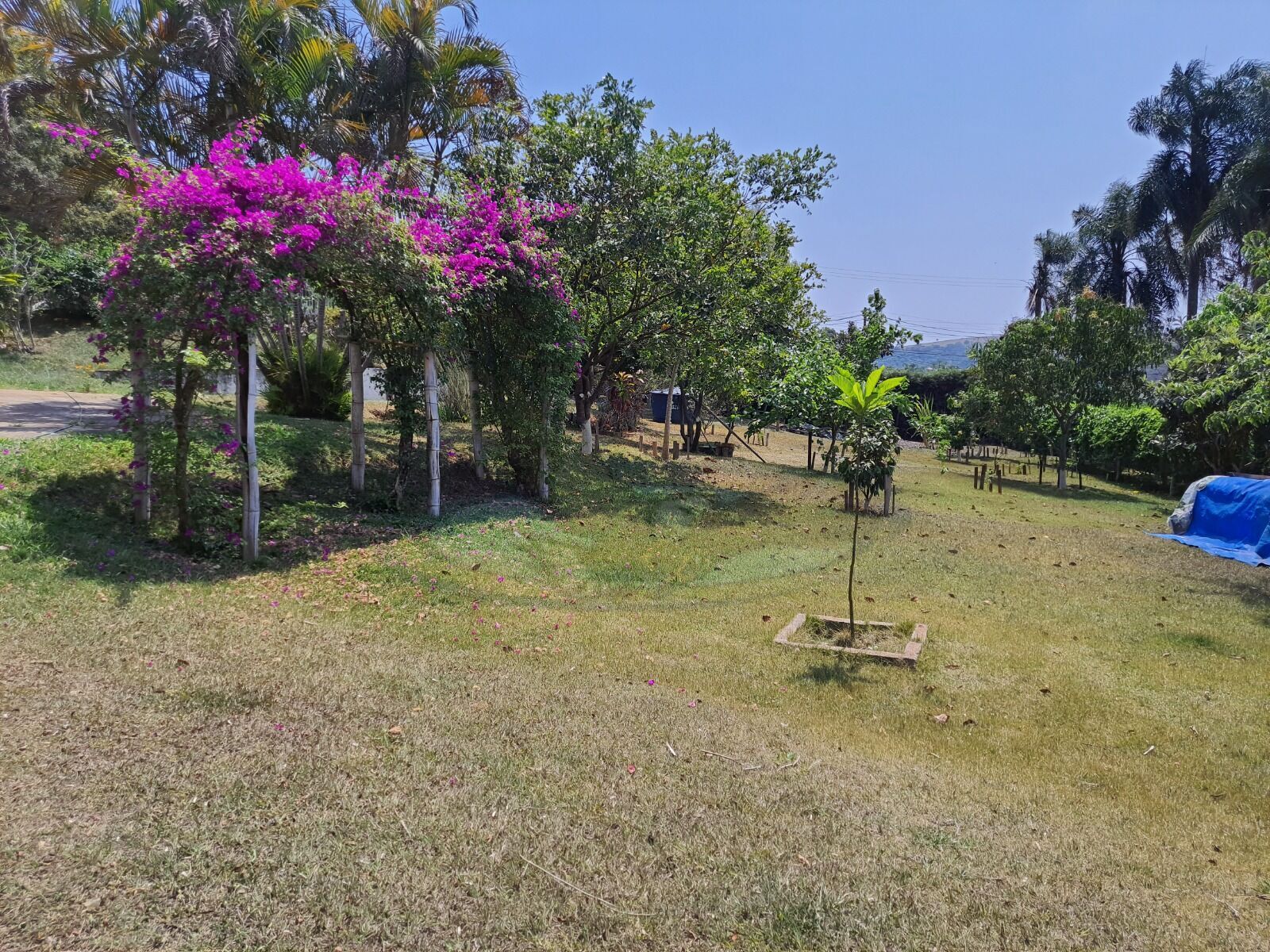 Chácara, 3 quartos, 3157 m² - Foto 24