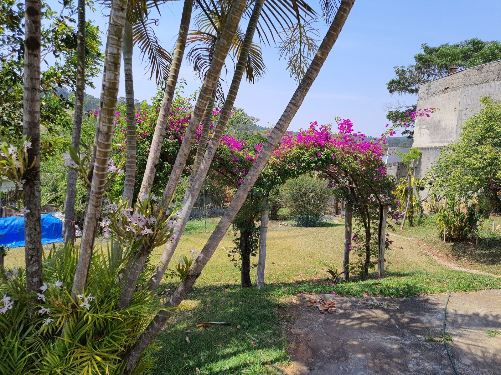 Chácara, 3 quartos, 3157 m² - Foto 25