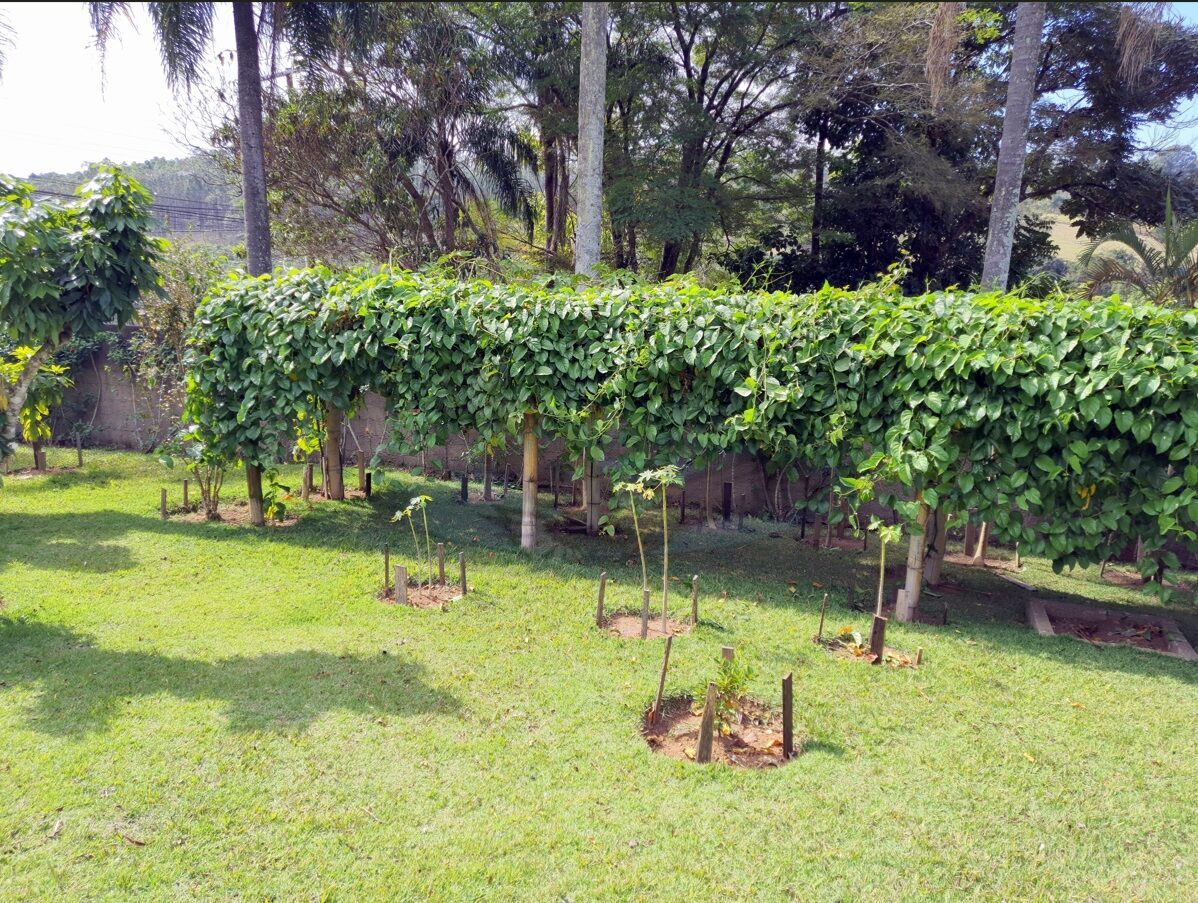 Chácara, 3 quartos, 3157 m² - Foto 12