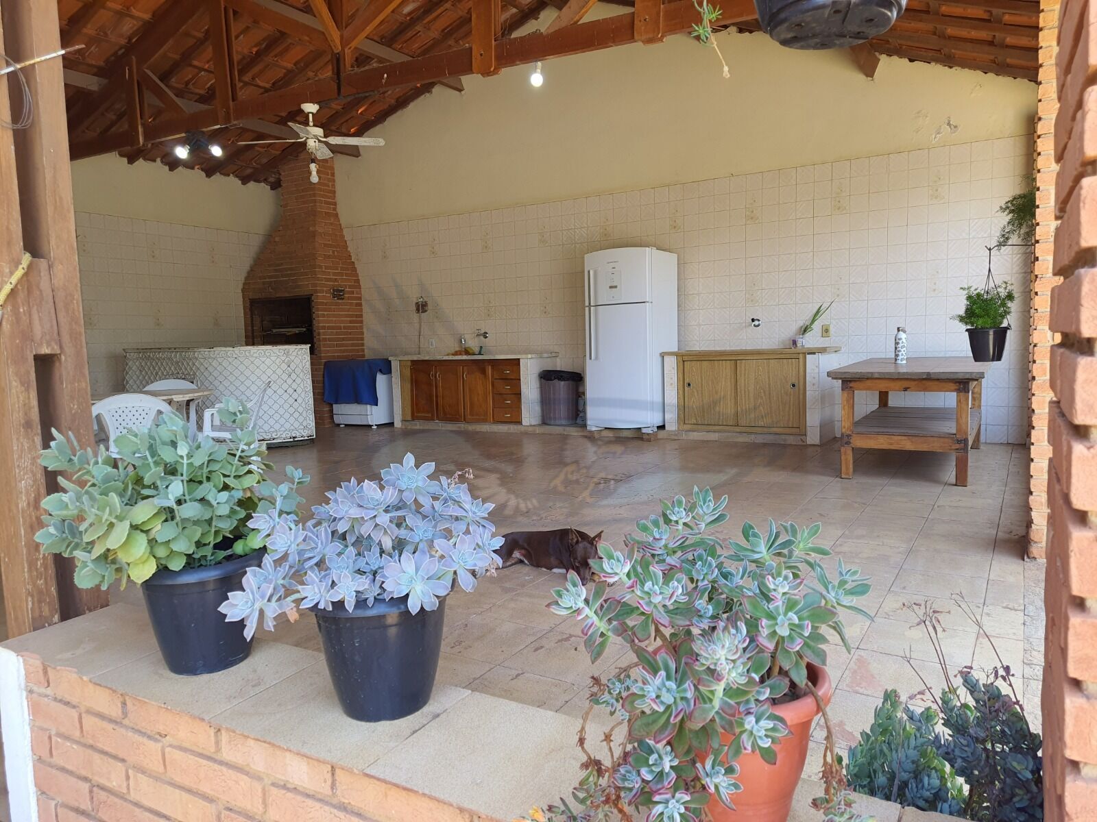 Chácara, 3 quartos, 3157 m² - Foto 19