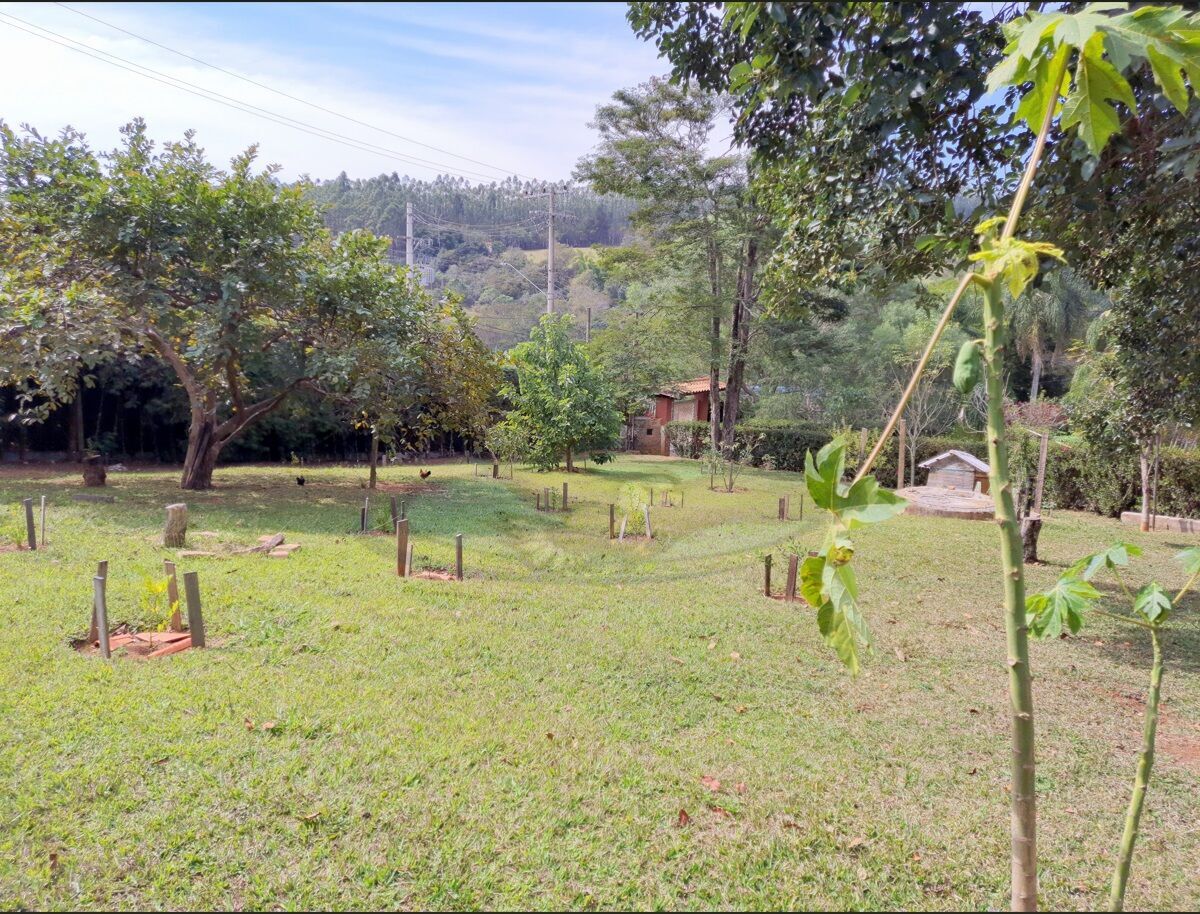 Chácara, 3 quartos, 3157 m² - Foto 10