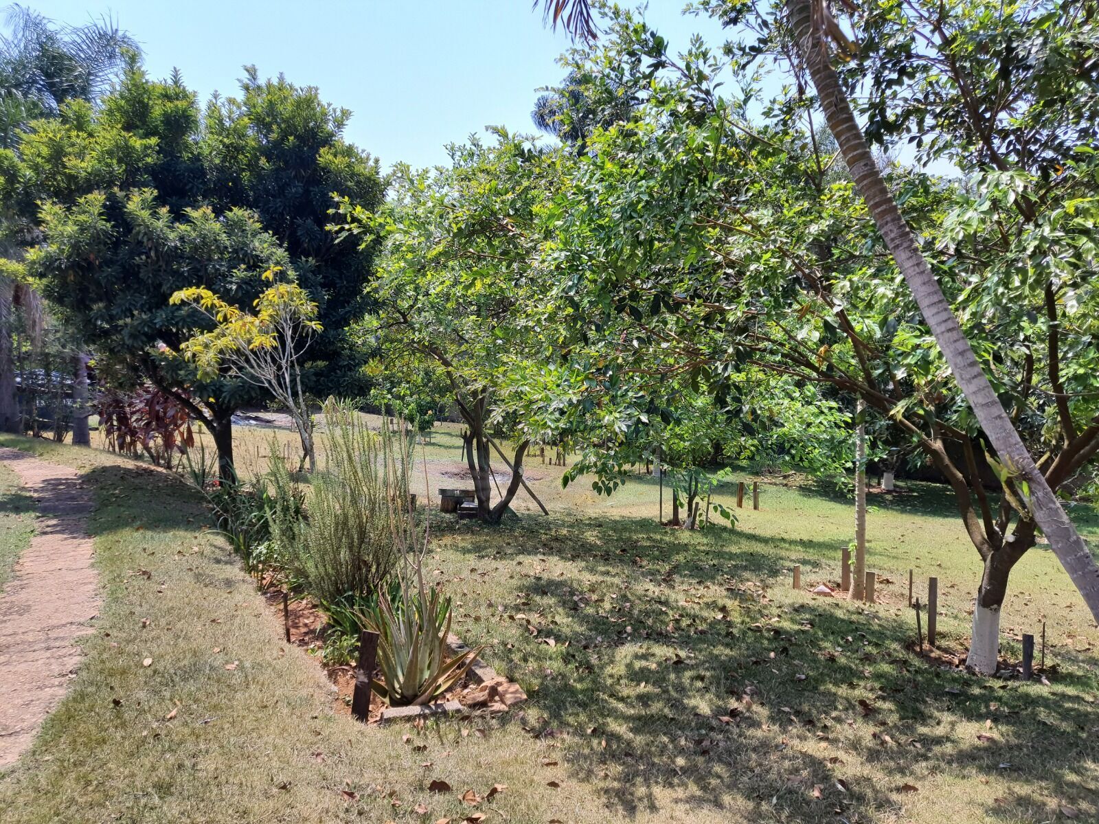 Chácara, 3 quartos, 3157 m² - Foto 28