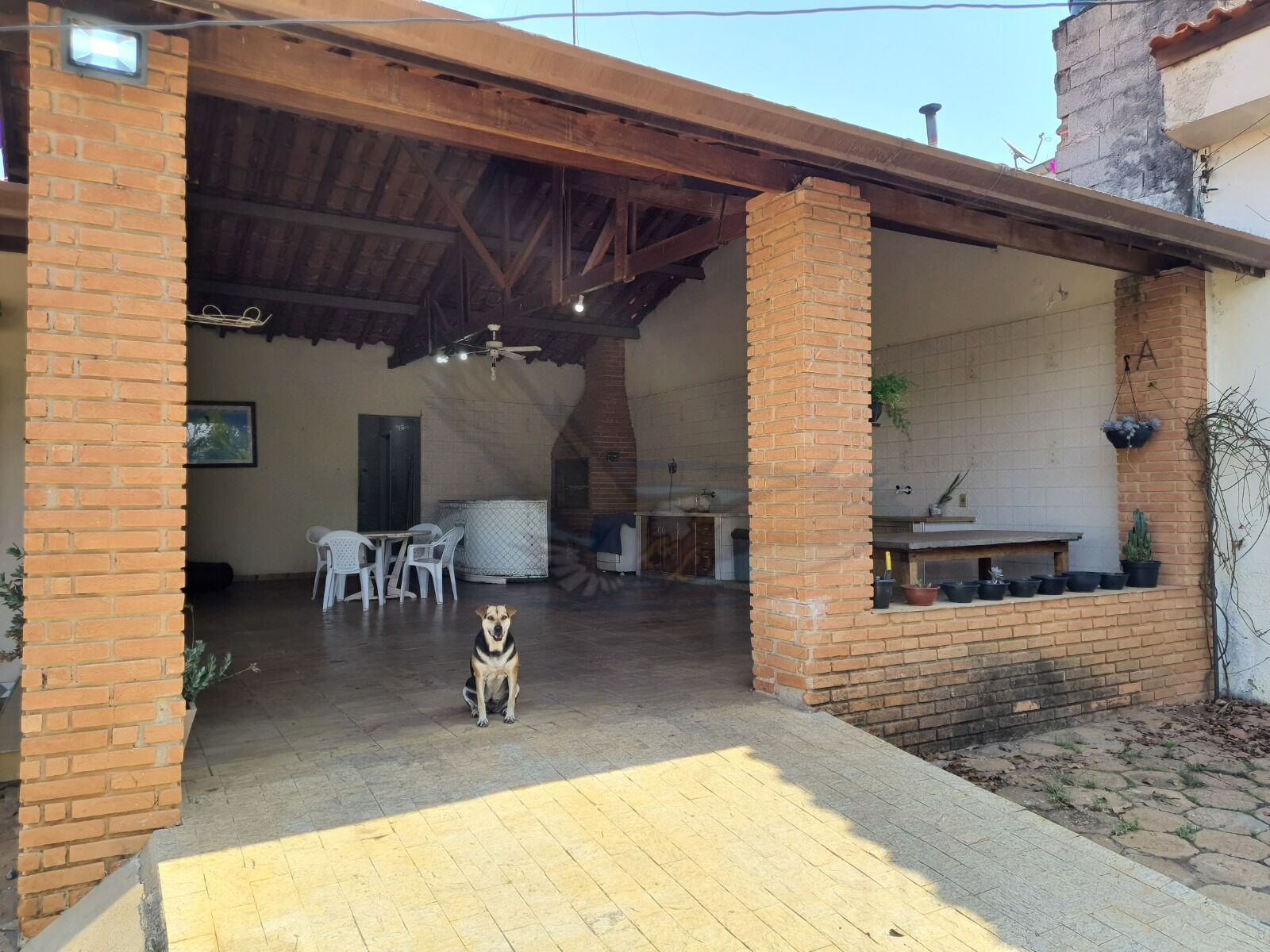 Chácara, 3 quartos, 3157 m² - Foto 18