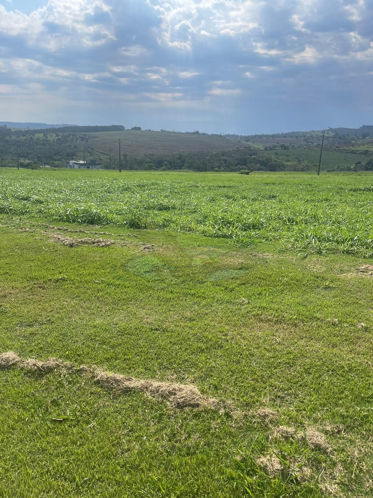 Terreno, 1363 m² - Foto 3