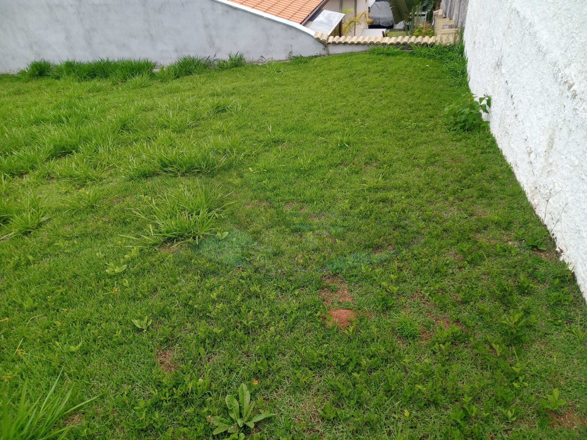 Terreno, 1500 m² - Foto 12