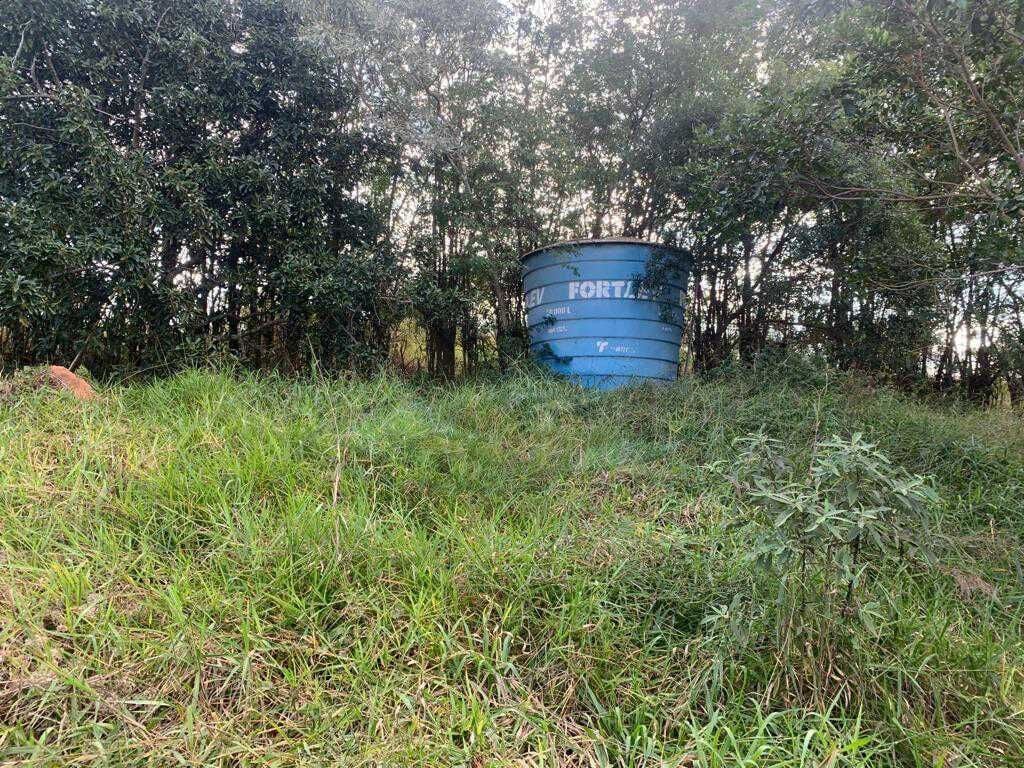 Sítio, 2 quartos, 2 hectares - Foto 4