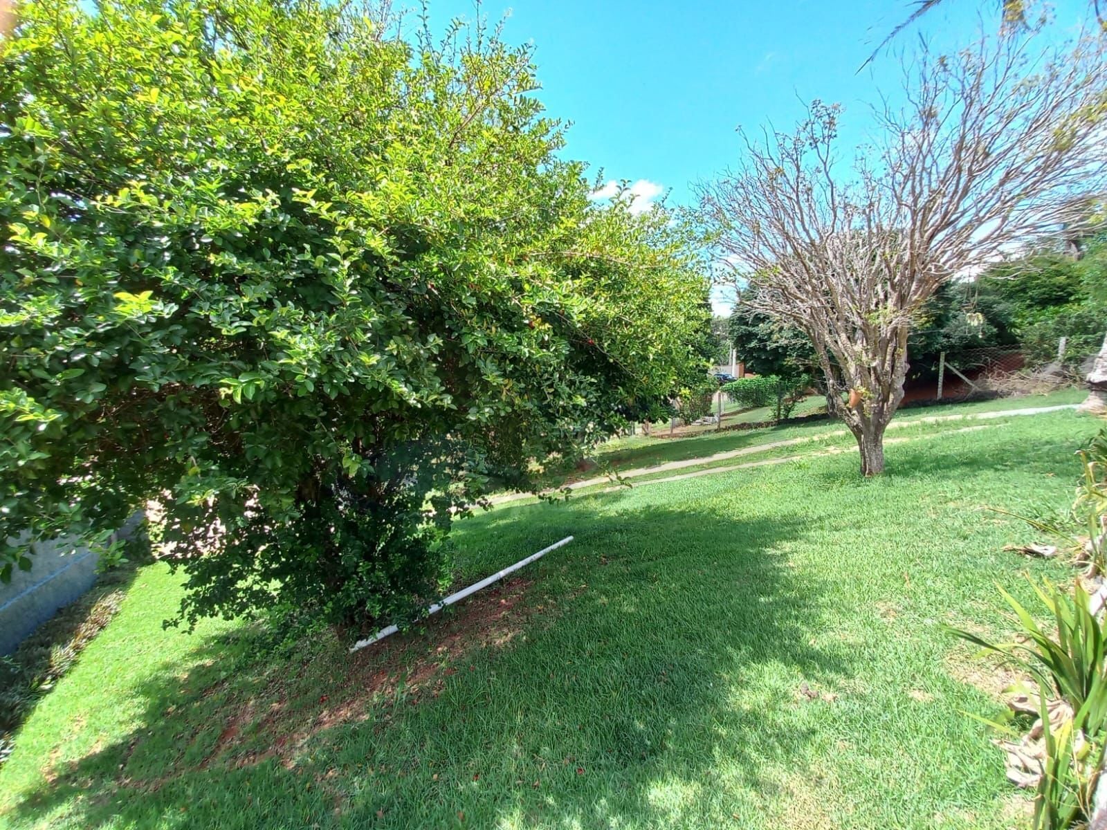 Casa, 2 quartos, 280 m² - Foto 7