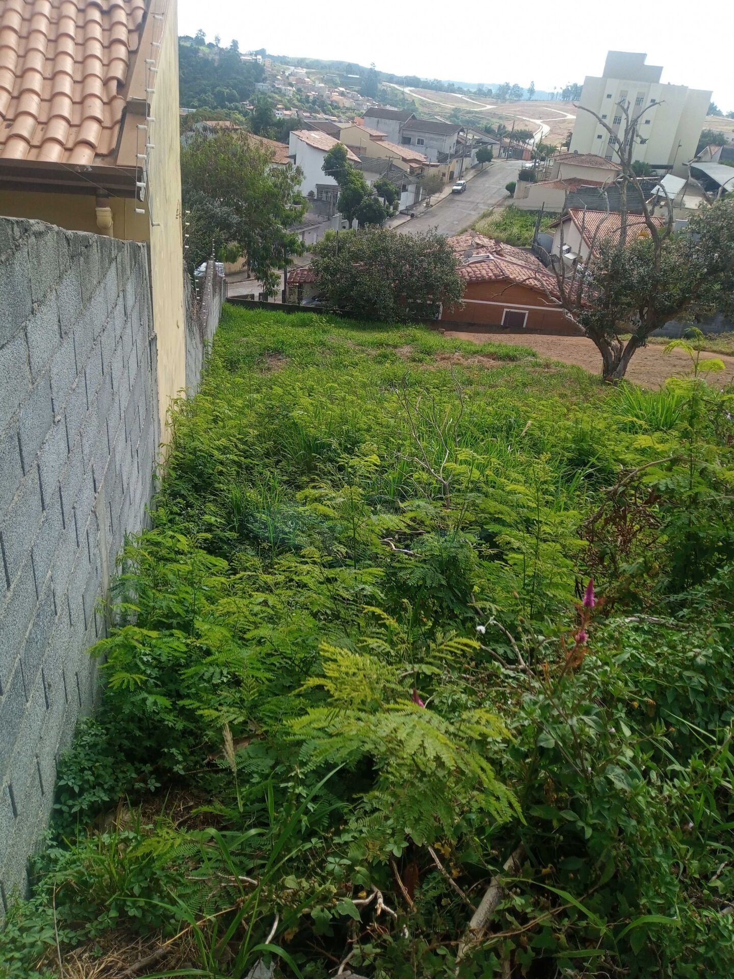 Terreno, 448 m² - Foto 3