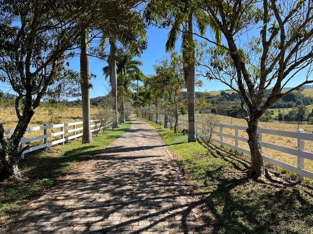 Fazenda, 30 hectares - Foto 4