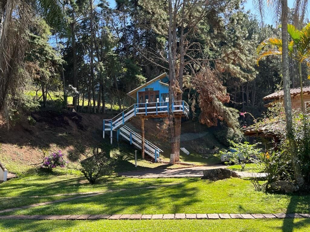 Fazenda, 30 hectares - Foto 22