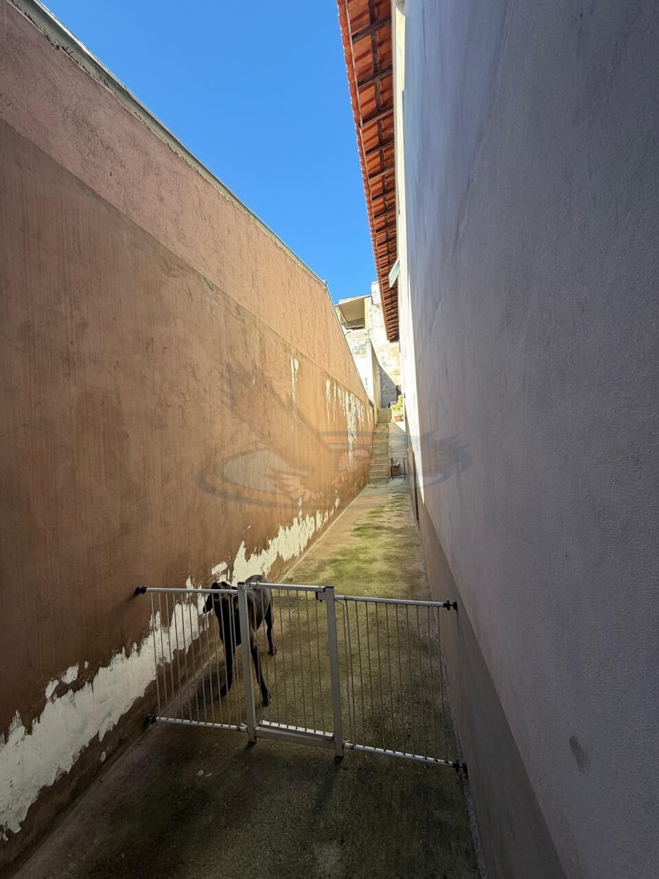 Casa, 3 quartos, 181 m² - Foto 21