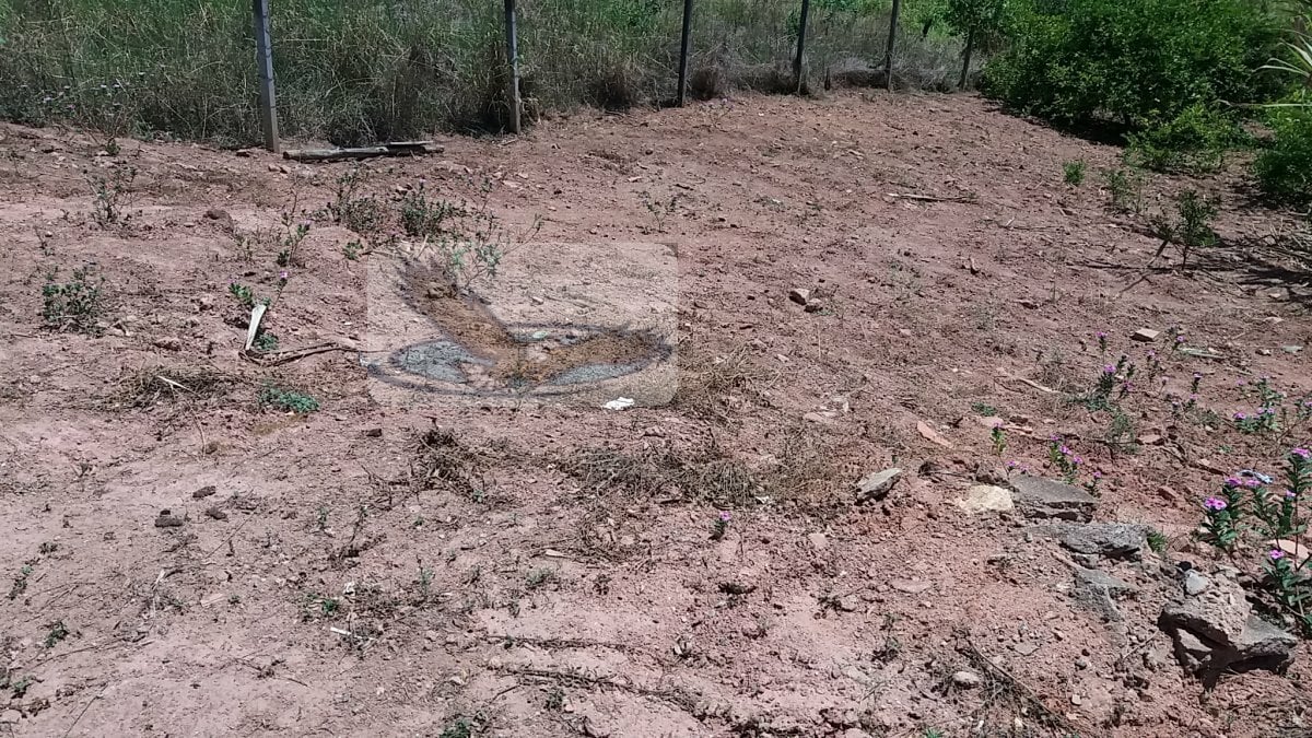 Terreno, 250 m² - Foto 1
