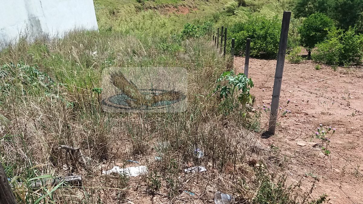 Terreno, 250 m² - Foto 6