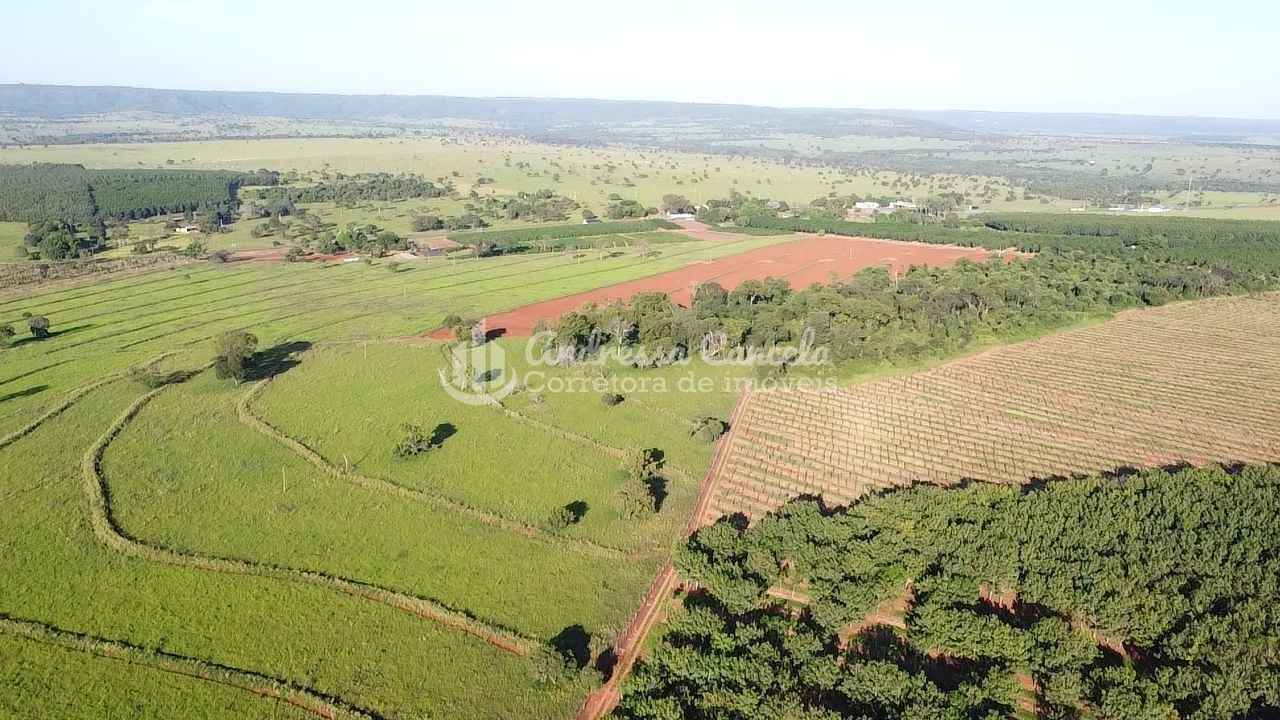 Fazenda, 646 hectares - Foto 3