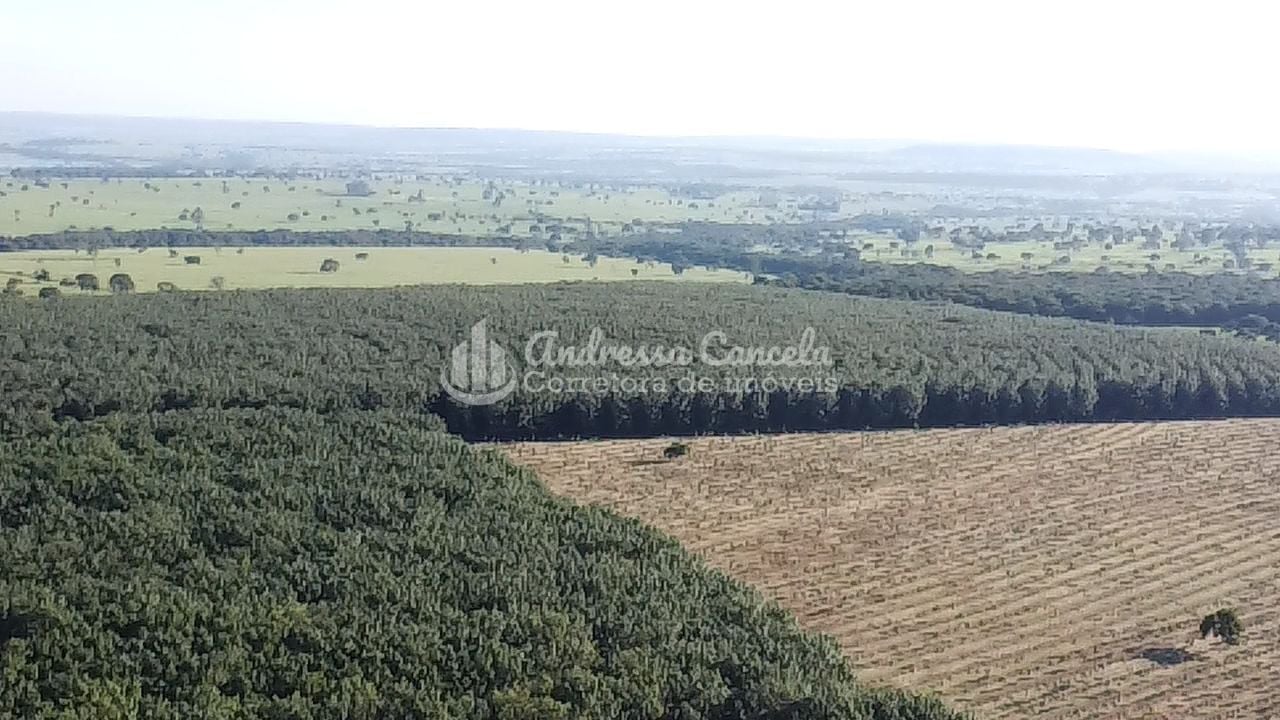 Fazenda, 646 hectares - Foto 5