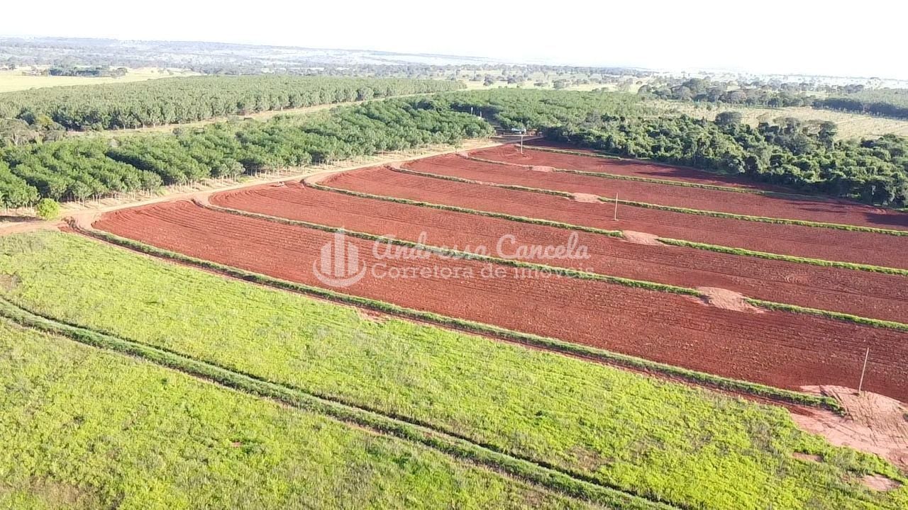 Fazenda, 646 hectares - Foto 2