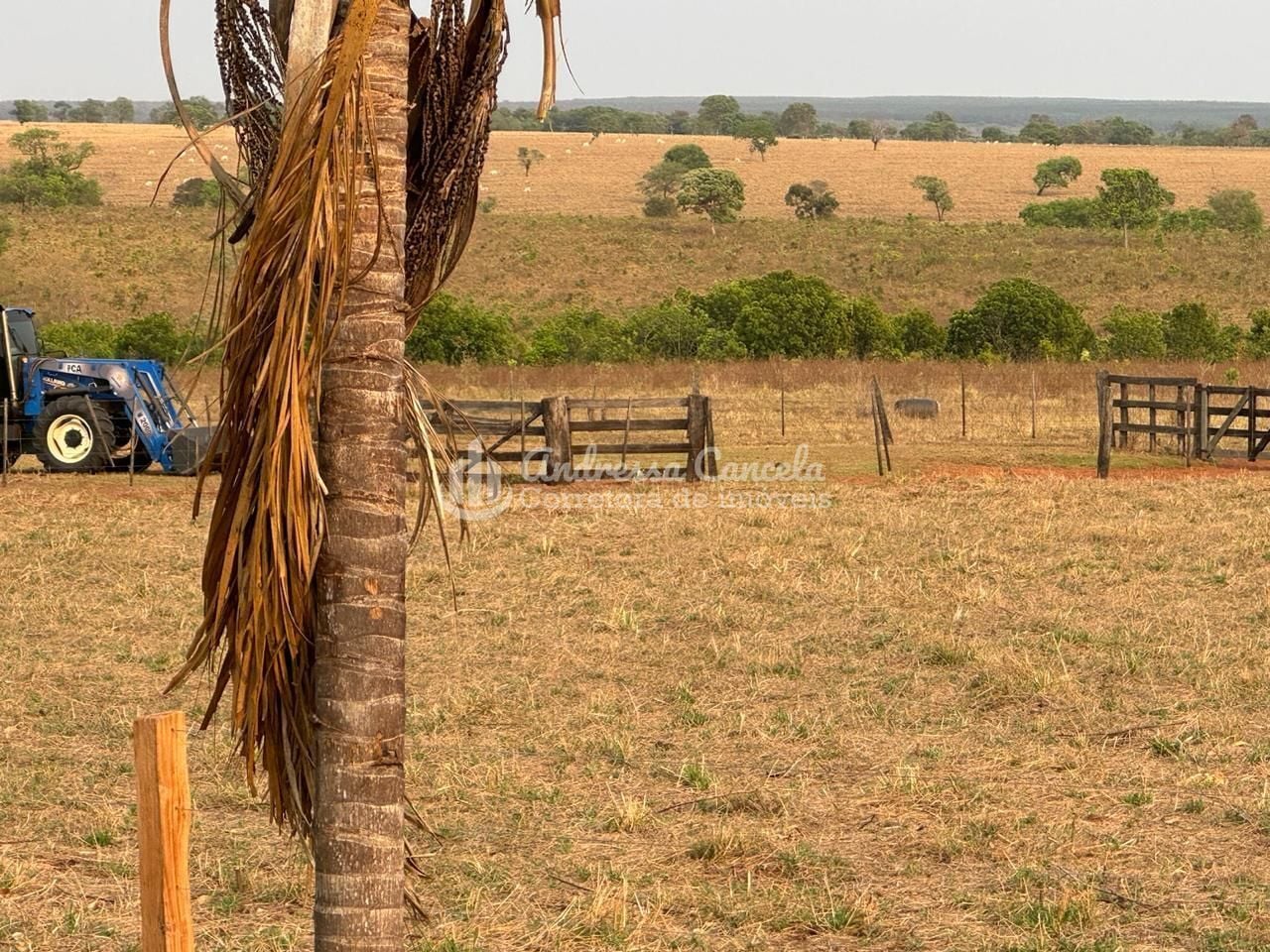 Fazenda, 826 hectares - Foto 13