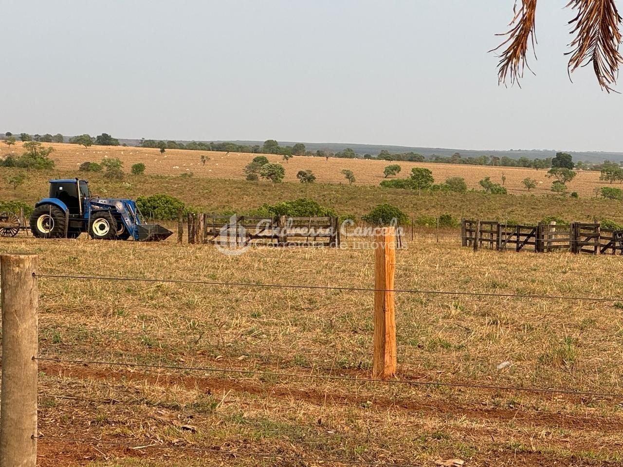 Fazenda, 826 hectares - Foto 16