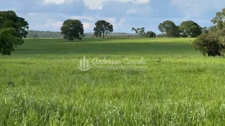 Fazenda, 826 hectares - Foto 1