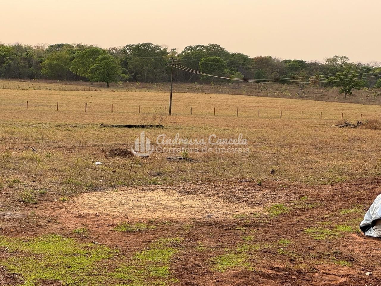 Fazenda, 826 hectares - Foto 7