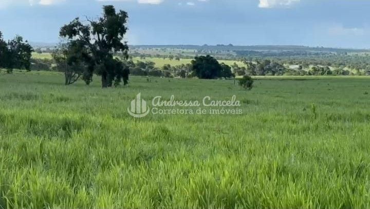 Fazenda, 826 hectares - Foto 2