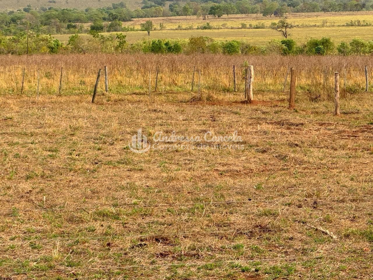 Fazenda, 826 hectares - Foto 12