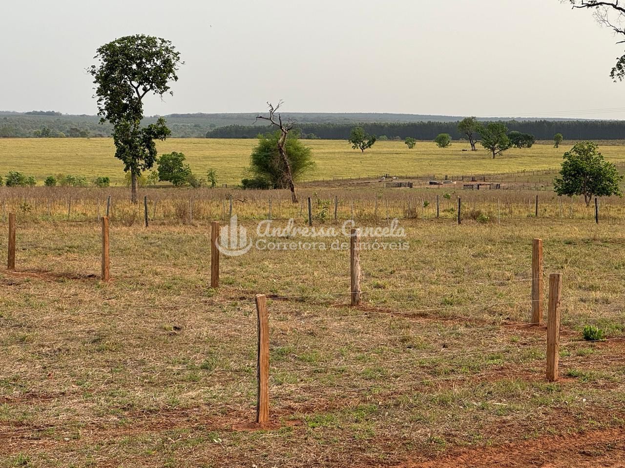 Fazenda, 826 hectares - Foto 11