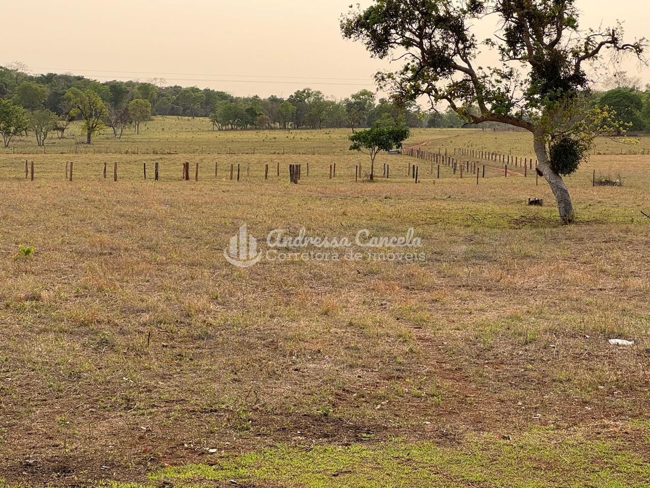 Fazenda, 826 hectares - Foto 8