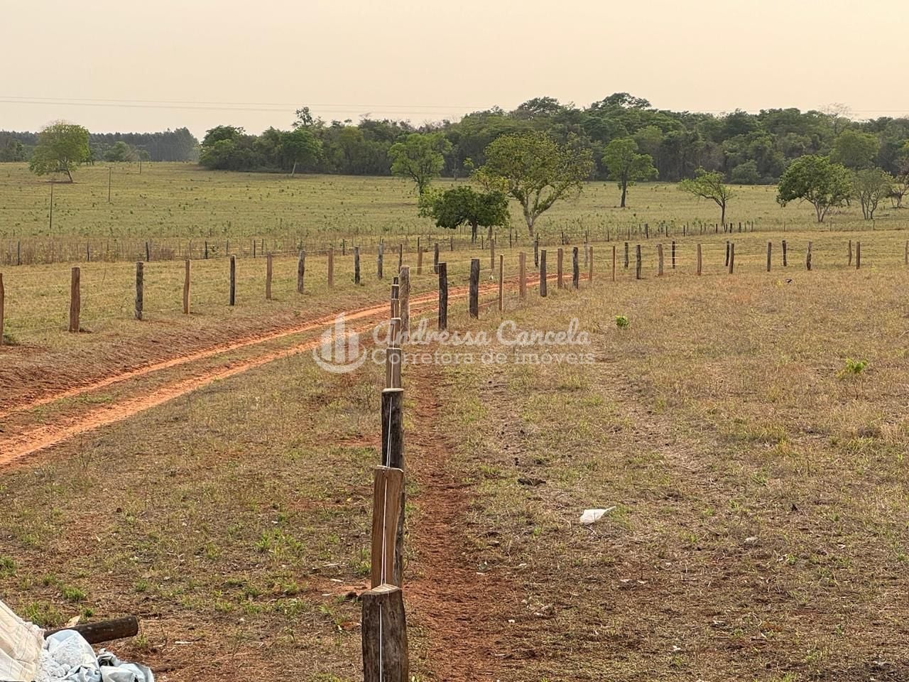 Fazenda, 826 hectares - Foto 9