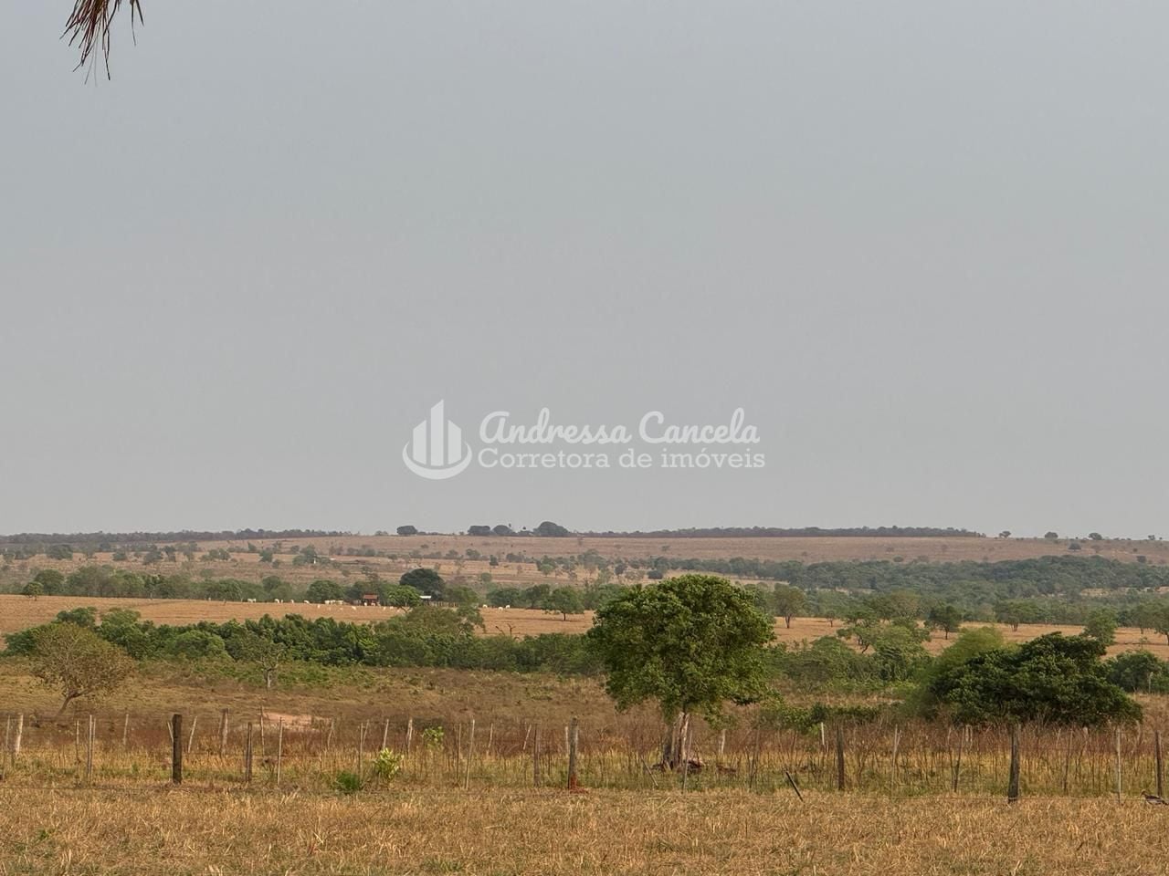 Fazenda, 826 hectares - Foto 15