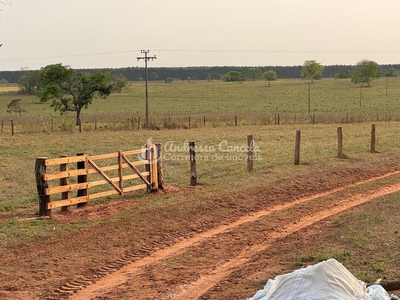 Fazenda, 826 hectares - Foto 10