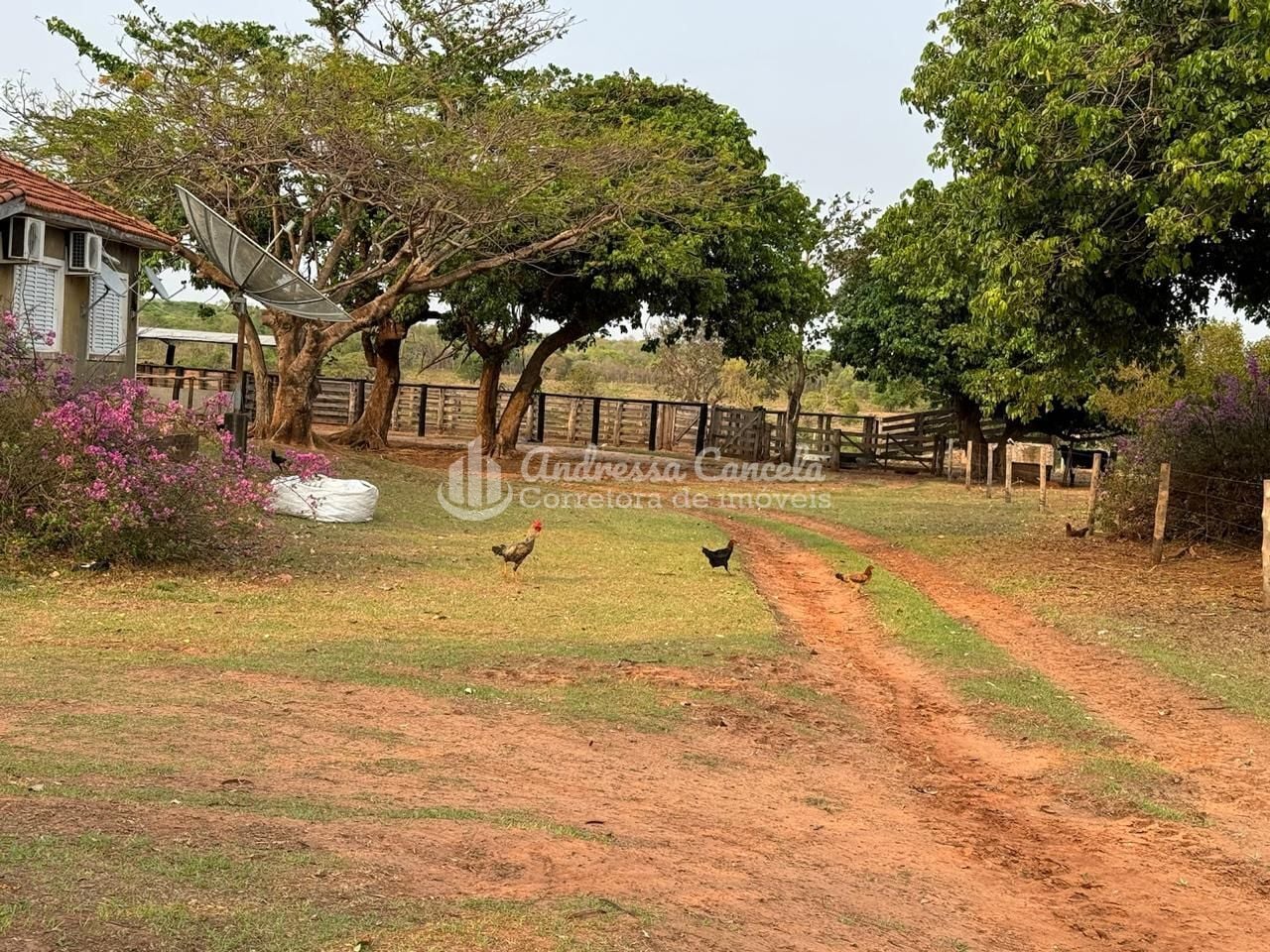 Fazenda, 826 hectares - Foto 18