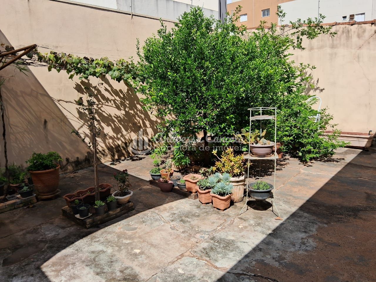 Casa, 4 quartos, 240 m² - Foto 25