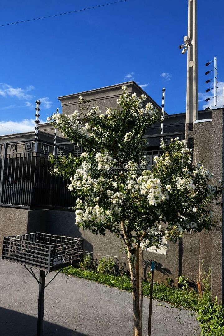 Casa, 3 quartos, 198 m² - Foto 23