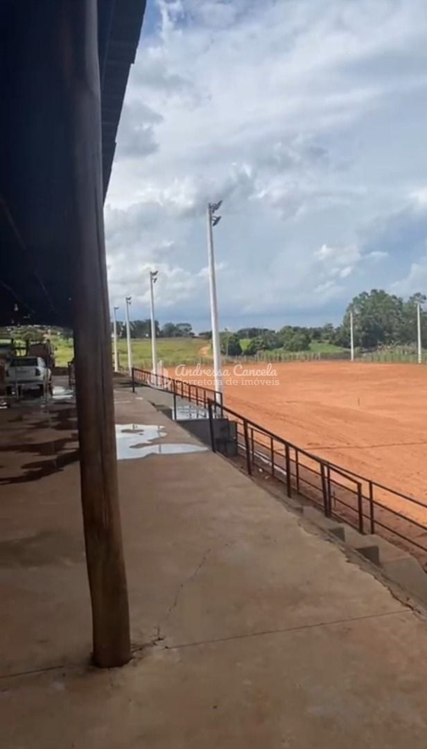 Chácara, 3 quartos, 24 hectares - Foto 9