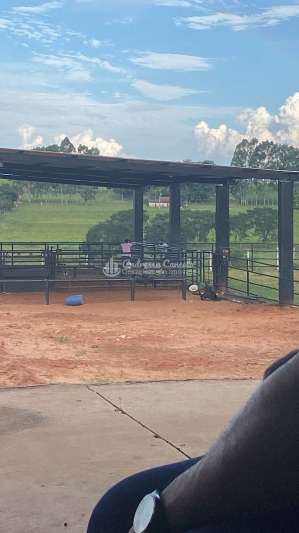 Chácara, 3 quartos, 24 hectares - Foto 2