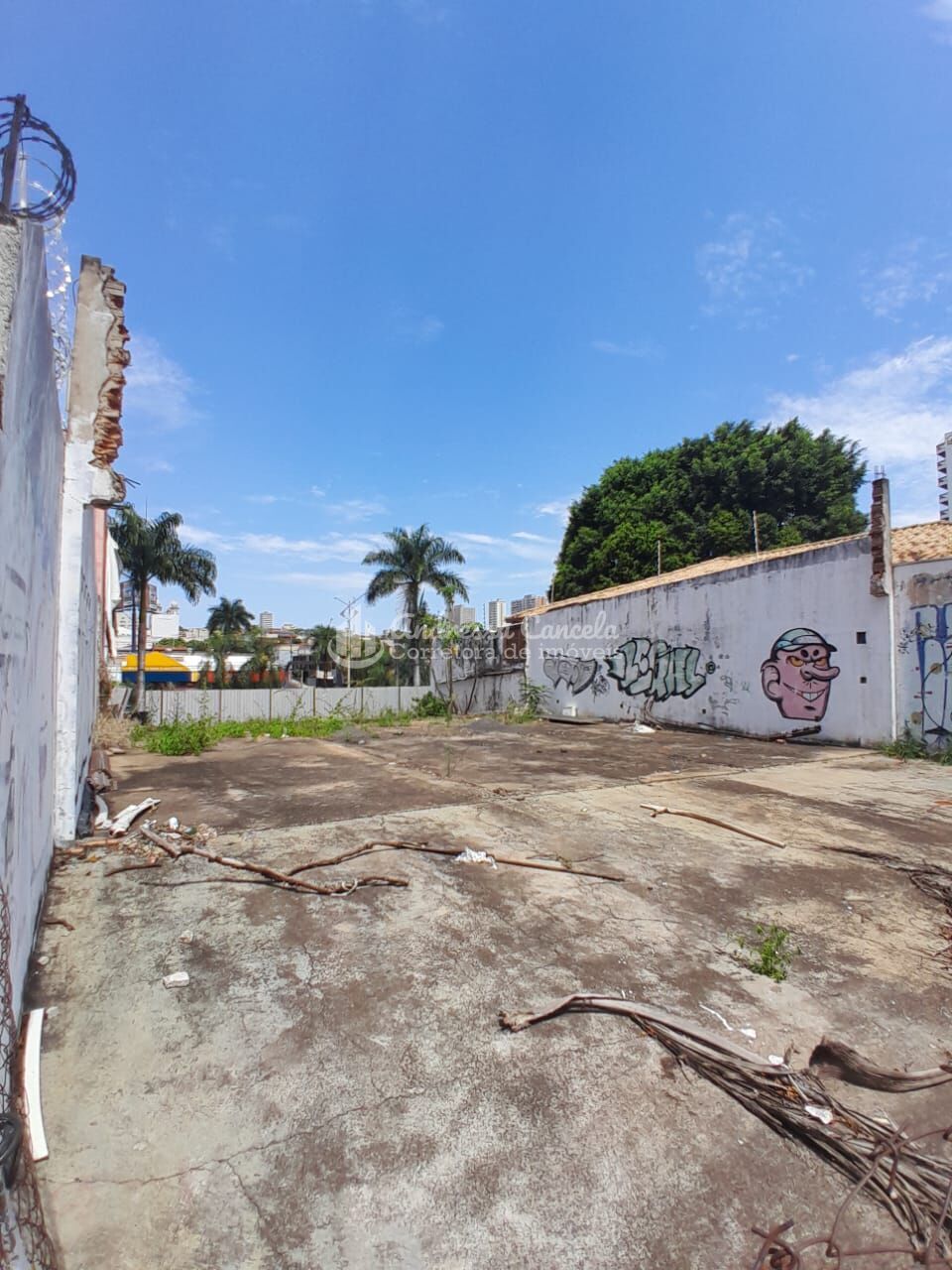 Terreno, 602 m² - Foto 6