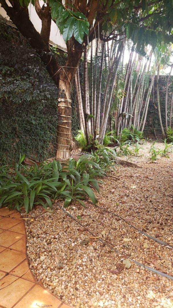 Casa, 3 quartos, 260 m² - Foto 8