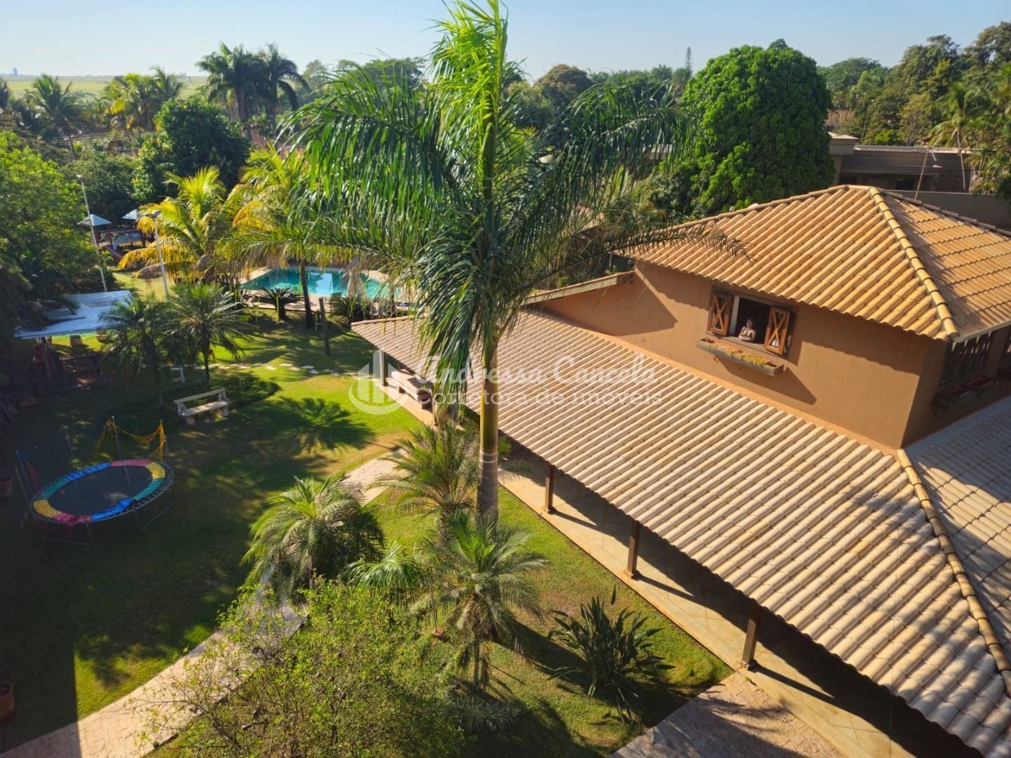 Sítio, 4 quartos, 2500 m² - Foto 3