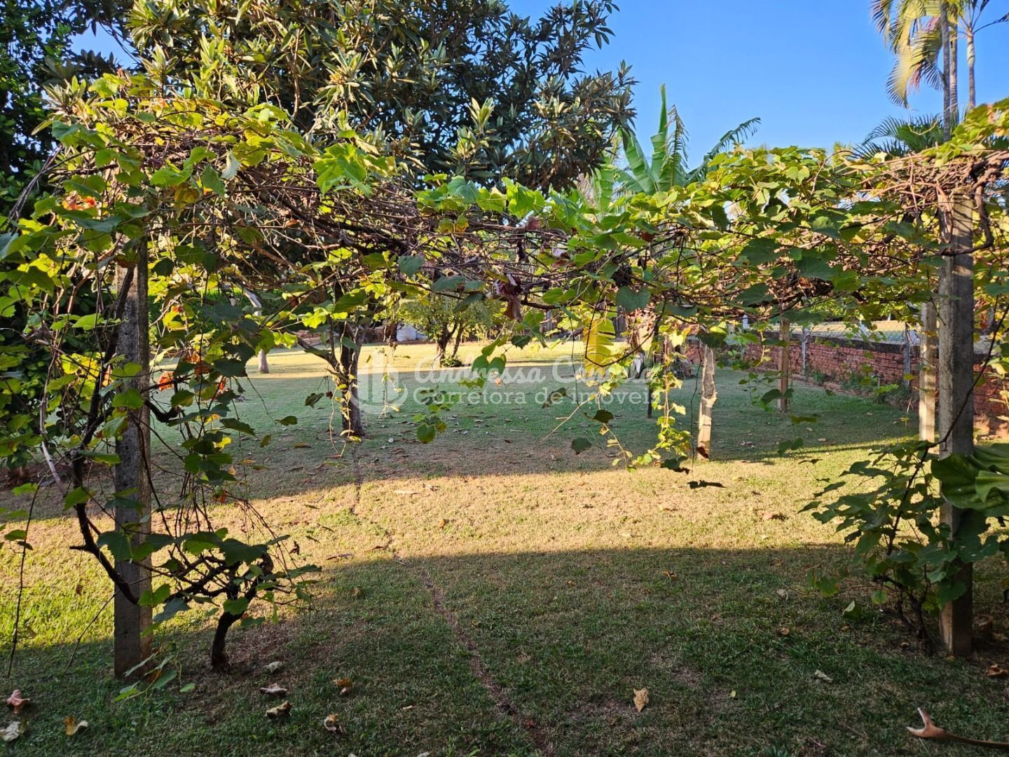 Sítio, 4 quartos, 2500 m² - Foto 22