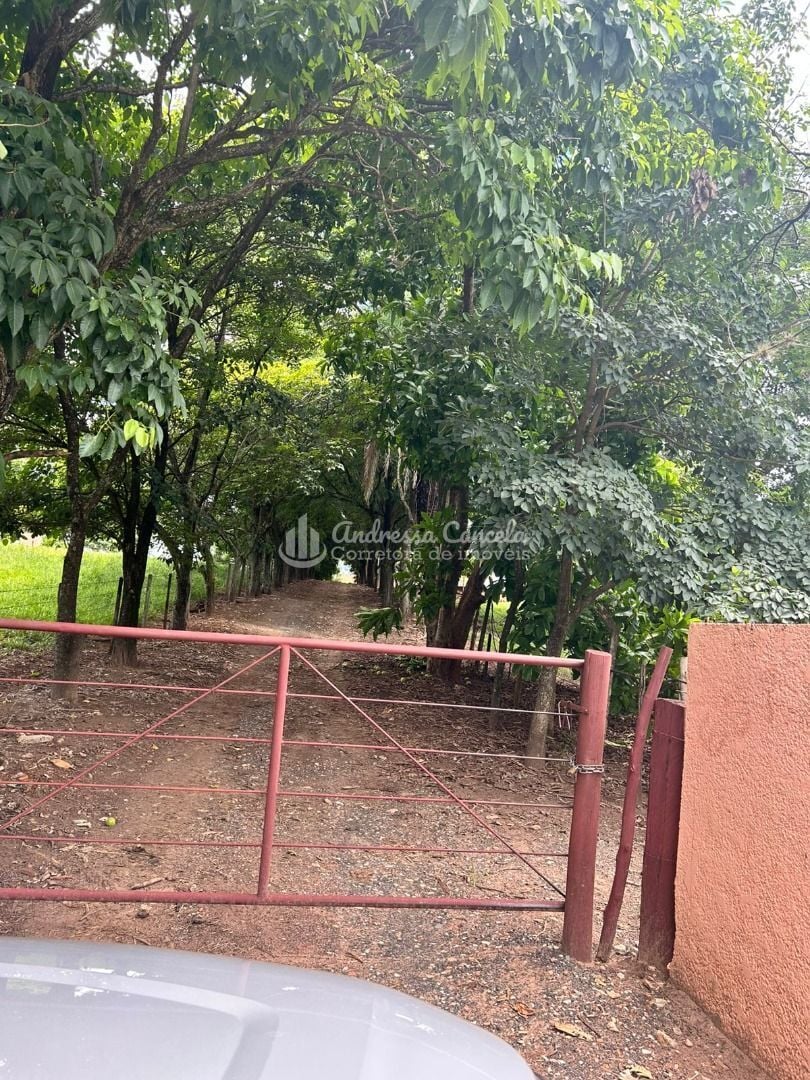 Sítio, 3 quartos, 2 hectares - Foto 2