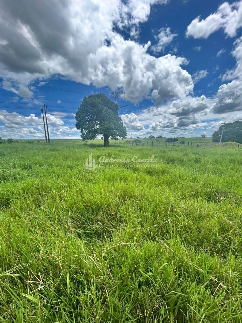 Sítio, 3 quartos, 2 hectares - Foto 10