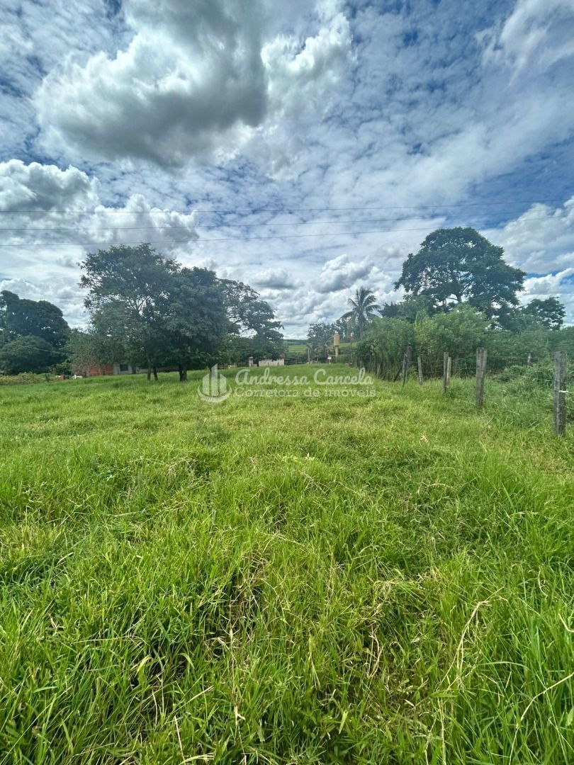 Sítio, 3 quartos, 2 hectares - Foto 11